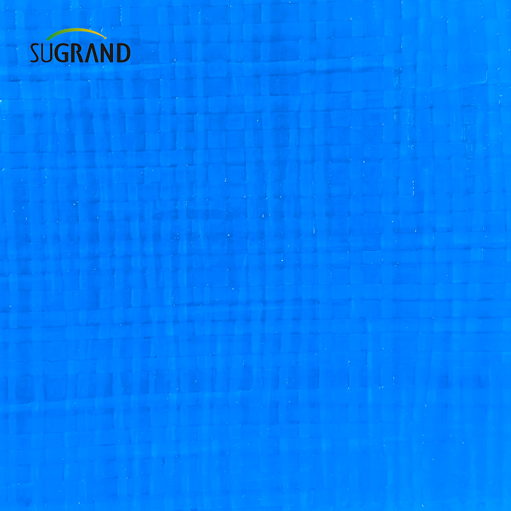 Producent Trwałość Wodoodporna PVC TREAD BLUE BLUE 