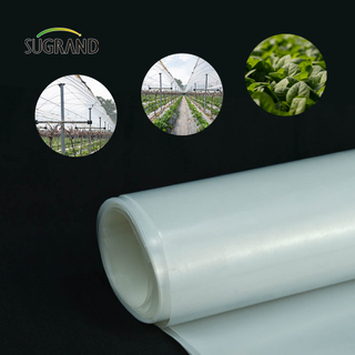 Tanie cena fabryczna Film cieplarniany Waterproof 150 Micron Greenhouse Film do ogrodu warzywnego
