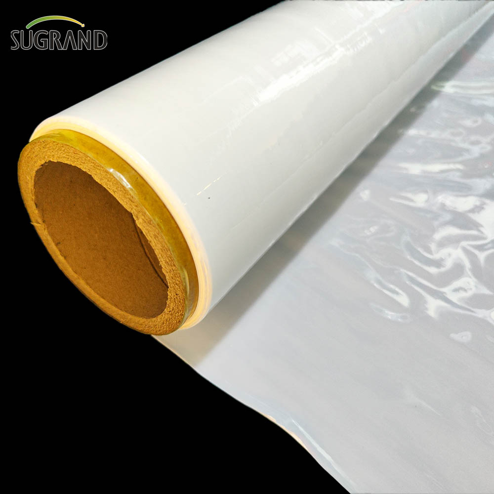 Film kiszonkowy biała / czarna kiszonka folia