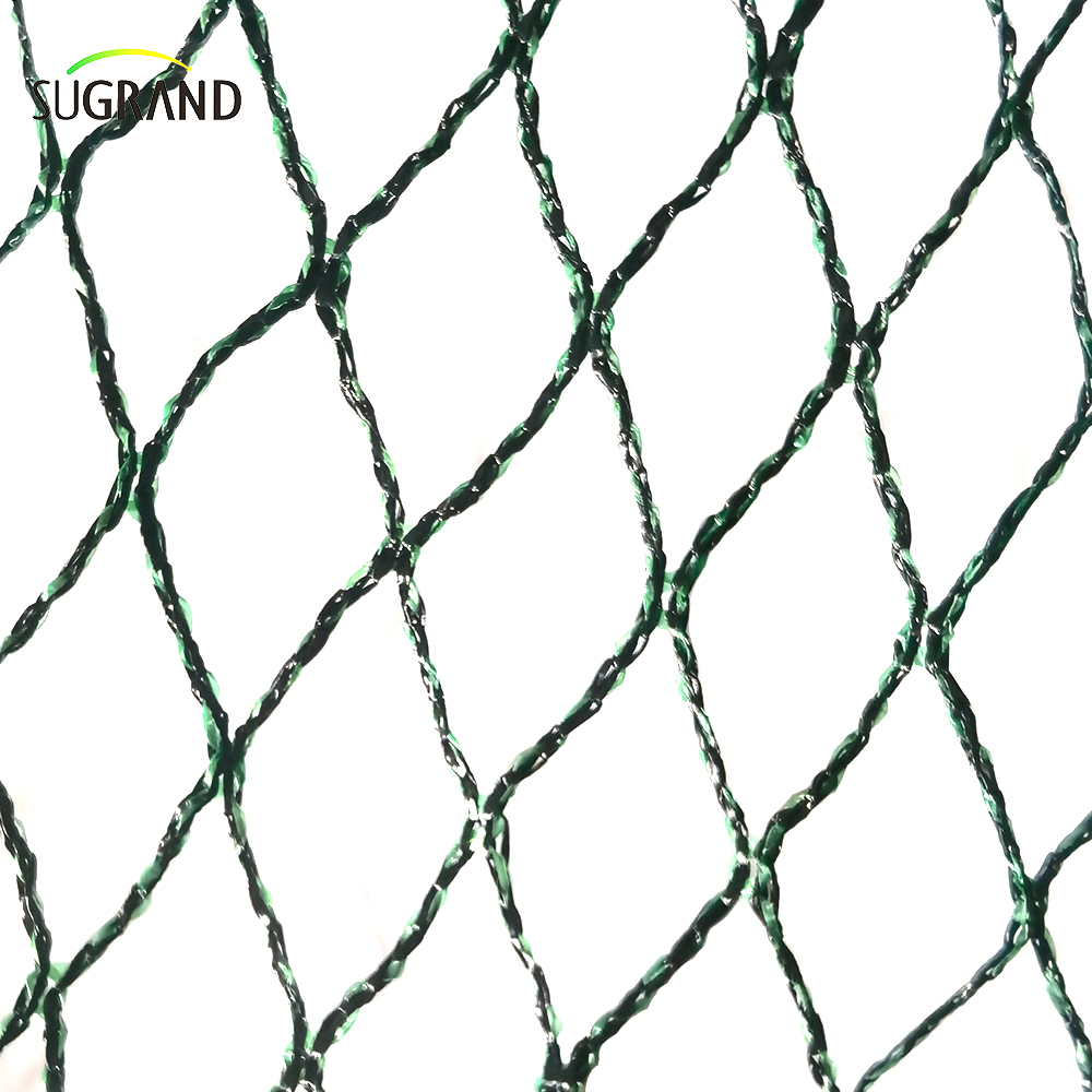Czech Republic100% HDPE+UV 25GSM 20*20 mm MESH 5*6/12M Black Green Agriculture Catching Bird Mistting