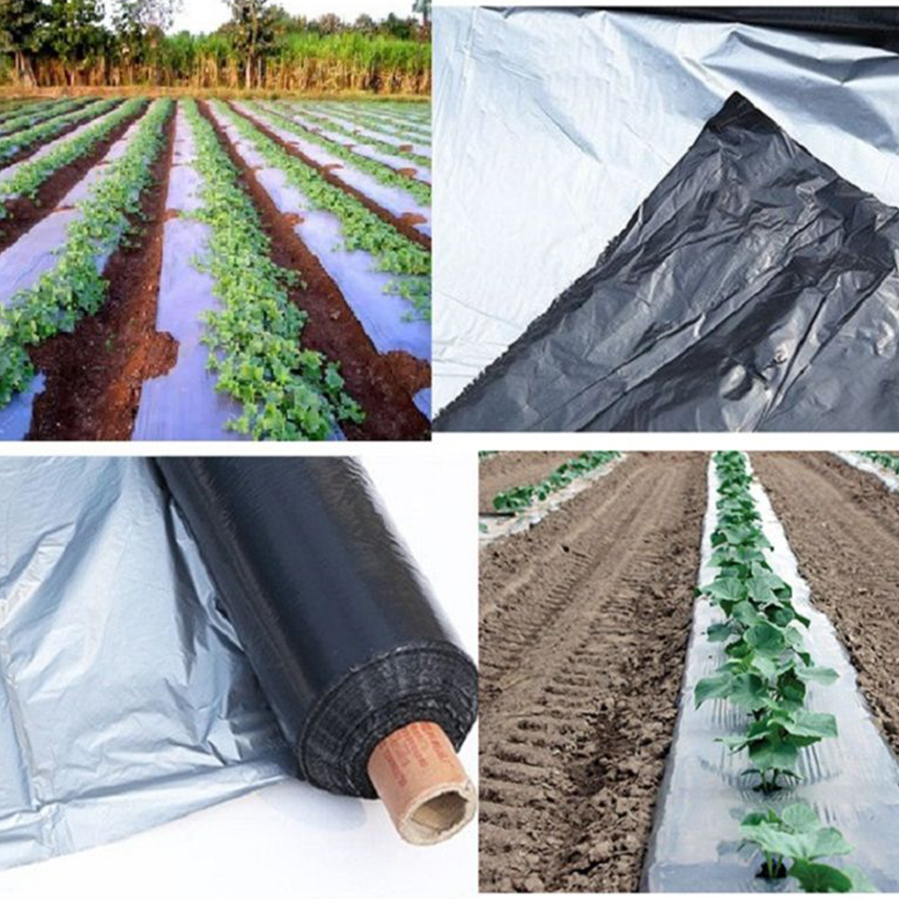 Film ści&oacute;łki