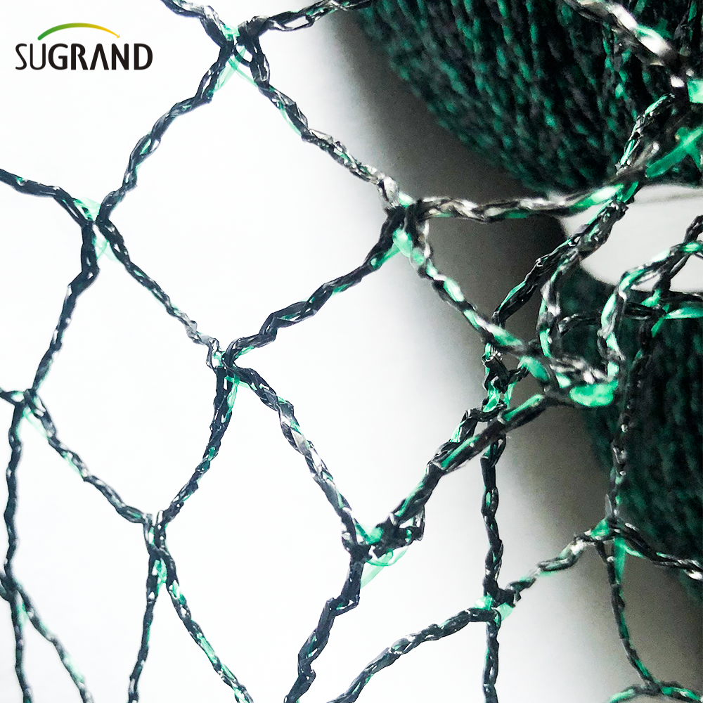 Skuteczność nylonowej siatki ptaków w ochronie leśnictwa