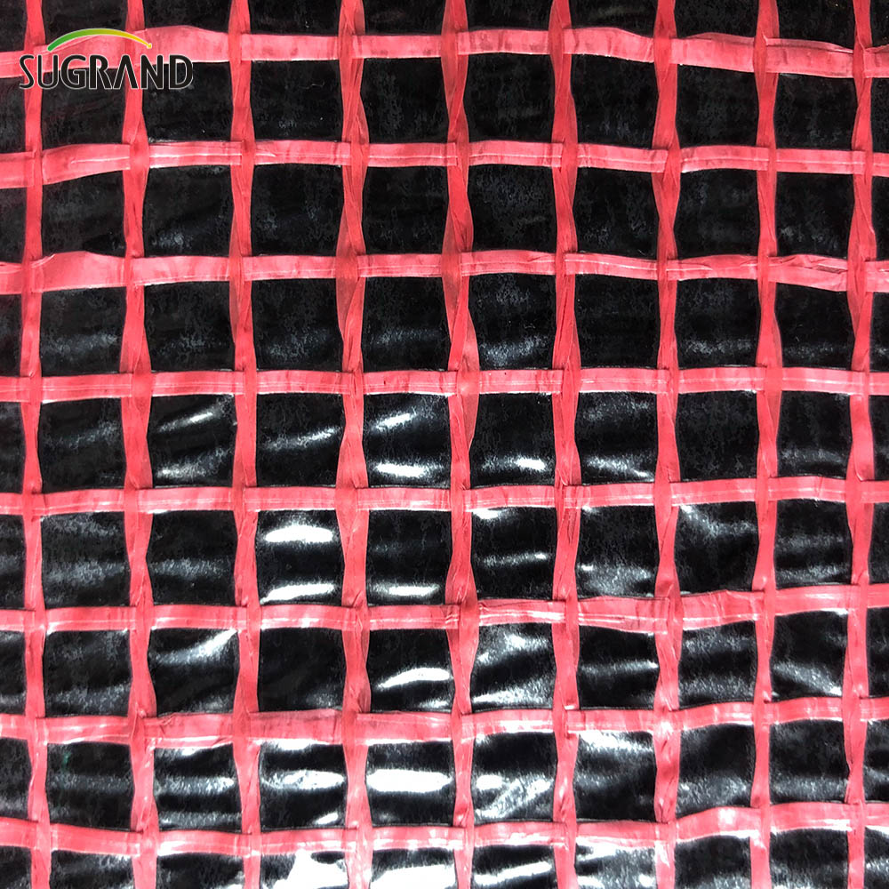 Plastikowe rusztowanie z siatki przezroczystą PE -plander