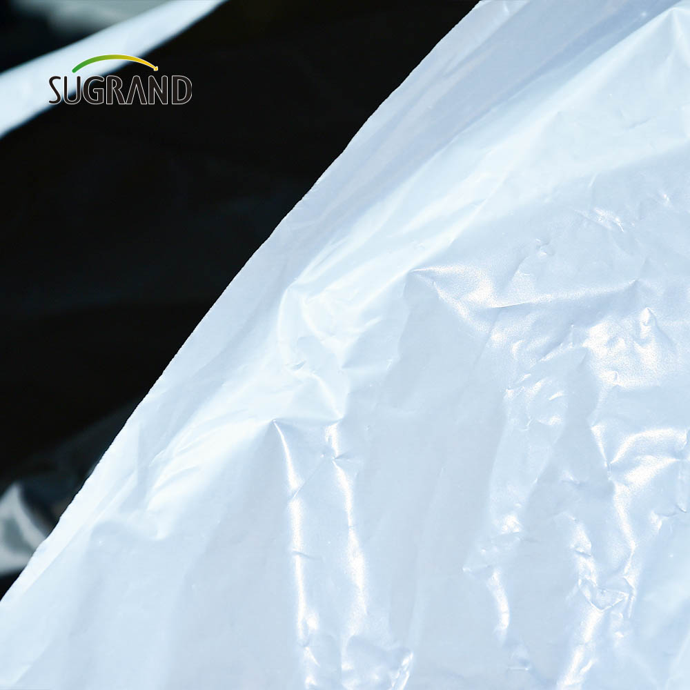 Fabryka dobrej jakości bezpośrednio 10 mikronów - 100 mikronów Biodegradowalna folia ściółkowa dla gospodarstwa