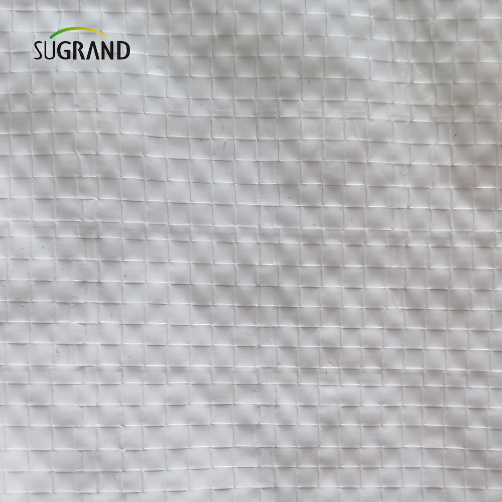 Fabrycznie bezpośrednie hurtowe białe plastikowe plandeki PE UV Arkusz