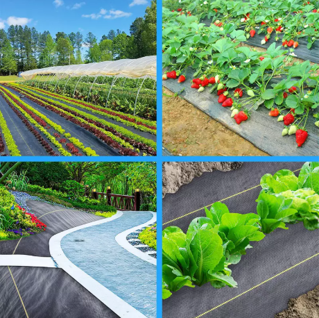 Czy pokrywa gruntu może poradzić sobie z trudną pogodą?