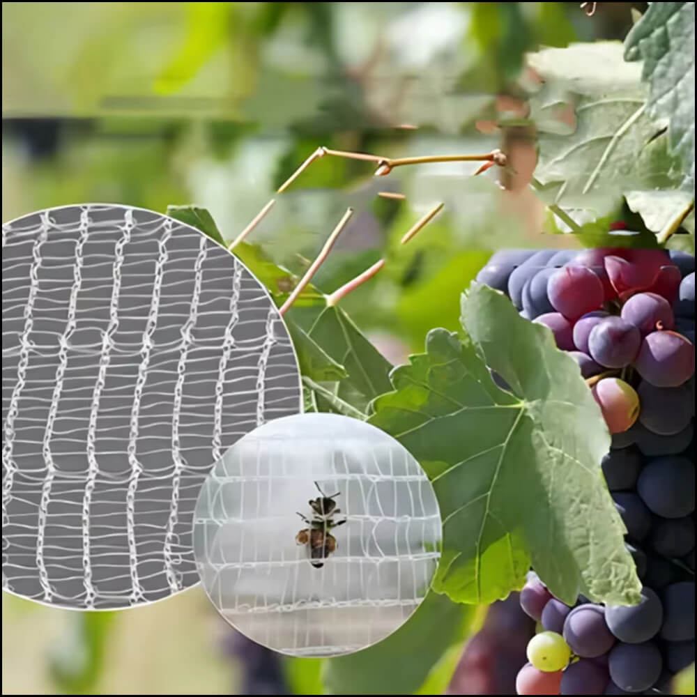 Firma przeciwbszczowa