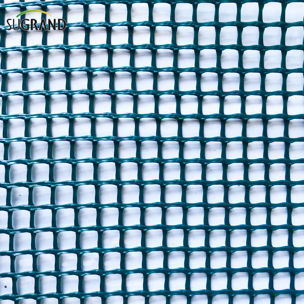 BOP Net BOP Green rozciągnięty PP Net Net Anti Bird Netting