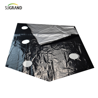 Perforowany folia ściółki UV UV Film do użytku dla warzyw 