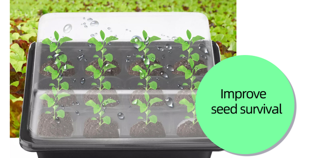 Shutterstock_572805157