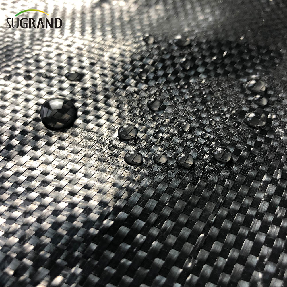 100% PP Black Ground Cover/Tabil