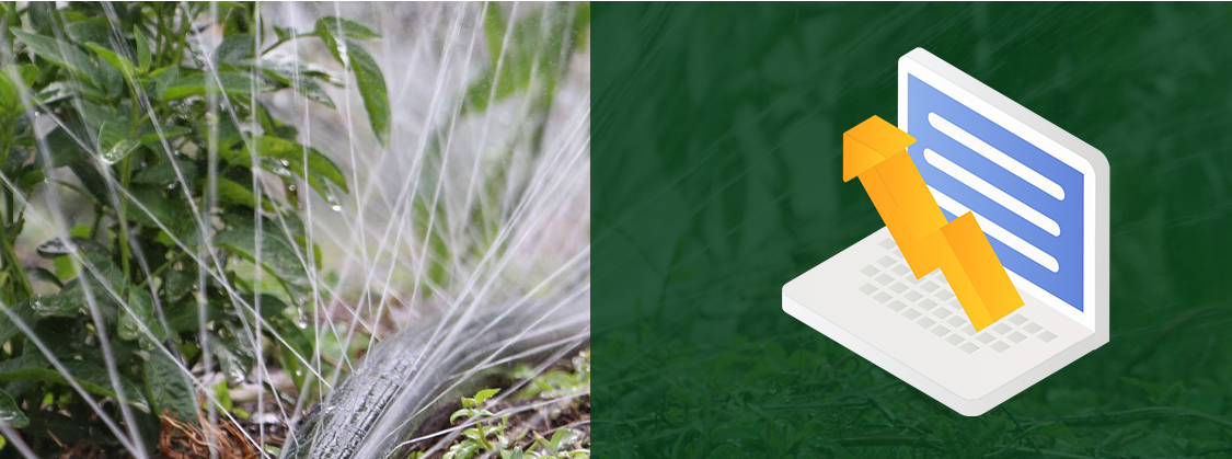 Nawadnianie kropelkowe 6