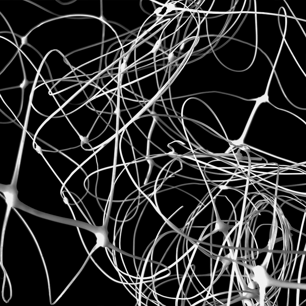 Wsparcie roślinne siatkowe kratki ogrodowe do wspinaczki na zewnątrz rośliny