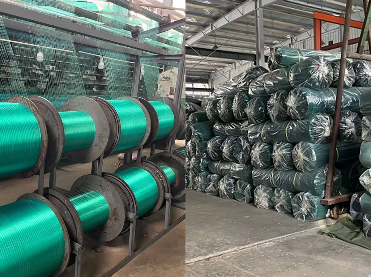 Fabryka sieci ptak&oacute;w