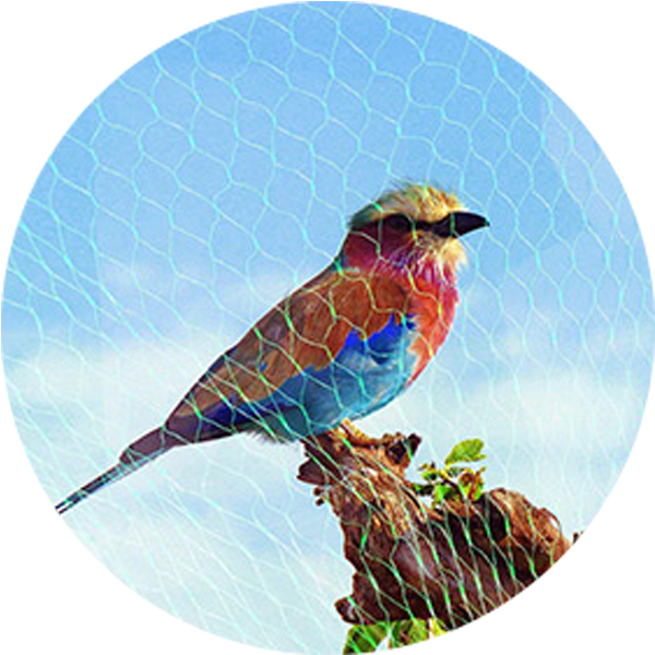 Hurtownia siatek przeciw ptakom o gramaturze 75 g/m&sup2;