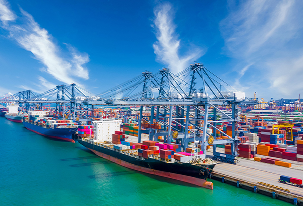 Bogate doświadczenie w produkcji i eksporcie 