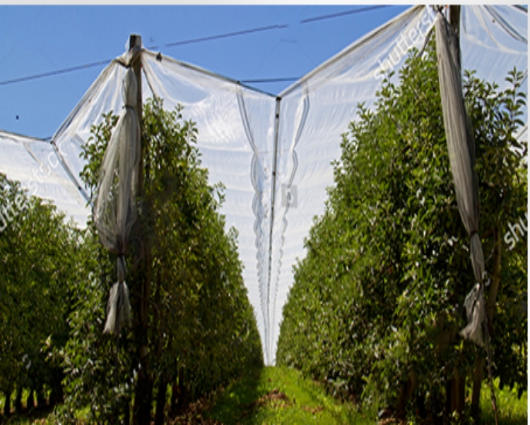 sad&oacute;w siatka przeciwgradowa 