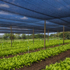 Hurtownia dzianiny HDPE Mono Black Shade Net