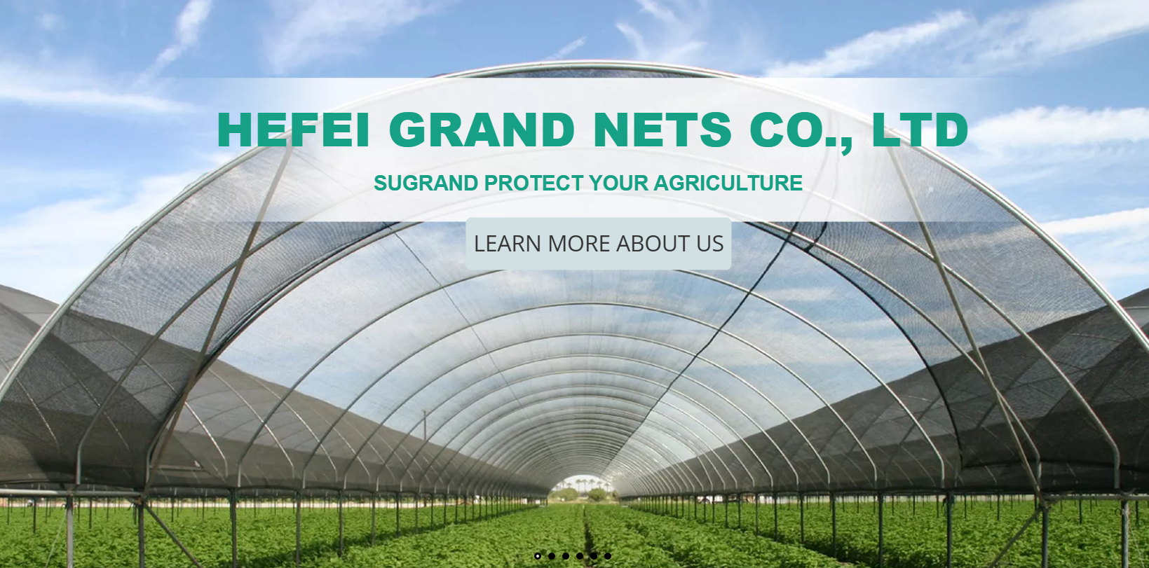 Jaka jest najlepsza okładka gruntu do kontroli chwastów?