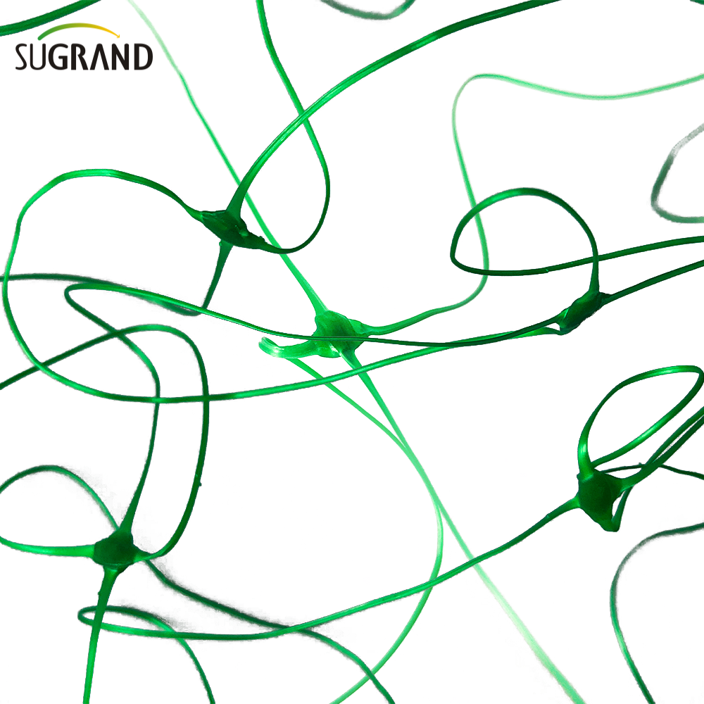 10GSM Green Plant Support Net Net/Fase Net