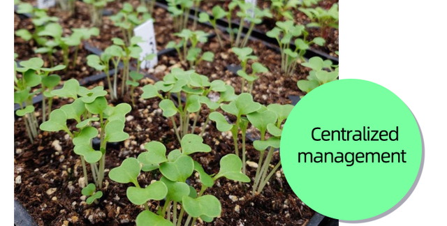 Shutterstock_1031148421