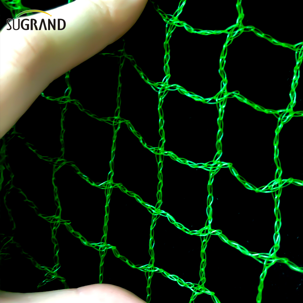 10 mm-30 mm tkana zielona siatka ptaków do łapania sieci ptaków