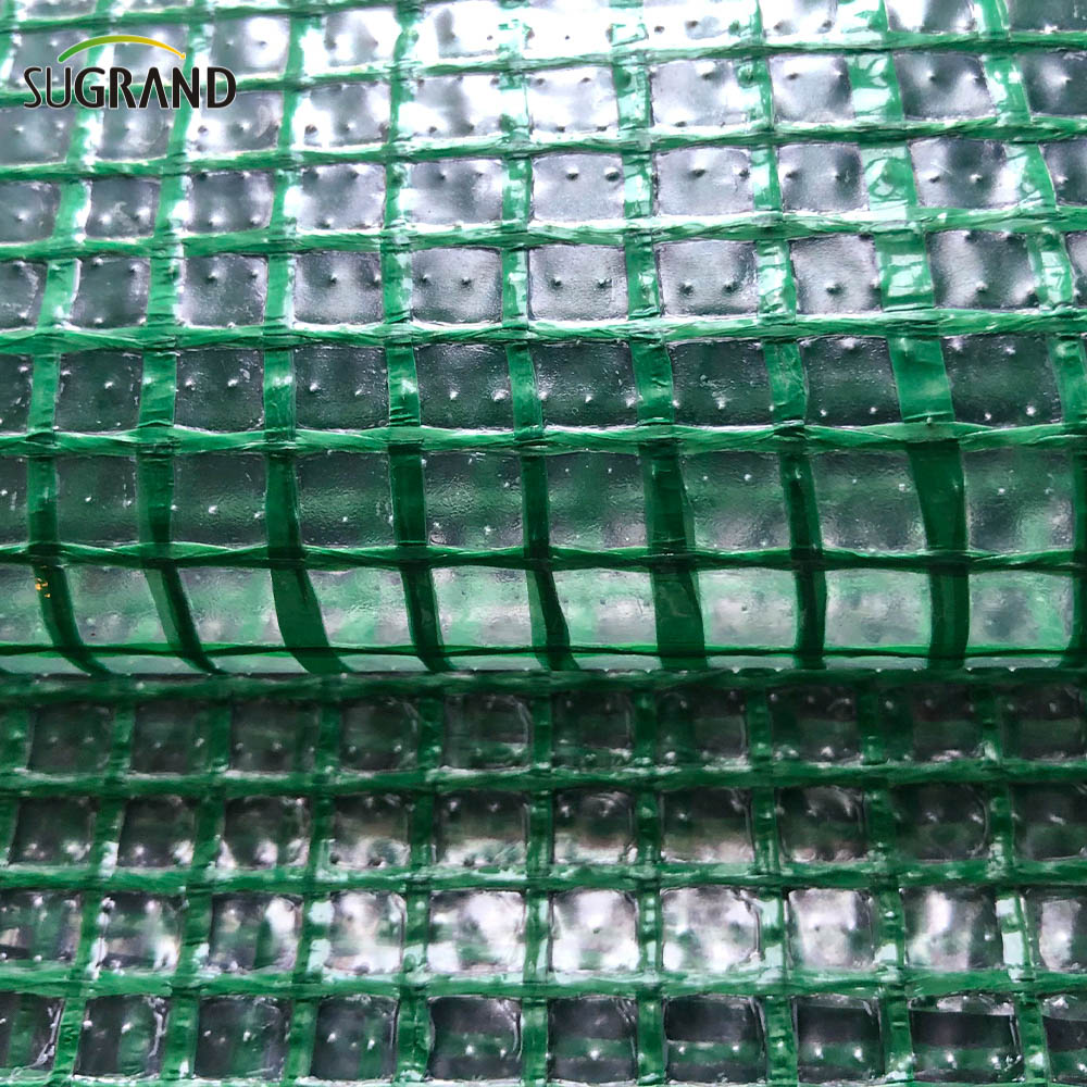 Konstrukcja tarpaulina siatka bezpieczeństwa siatki siatki netto PE plander