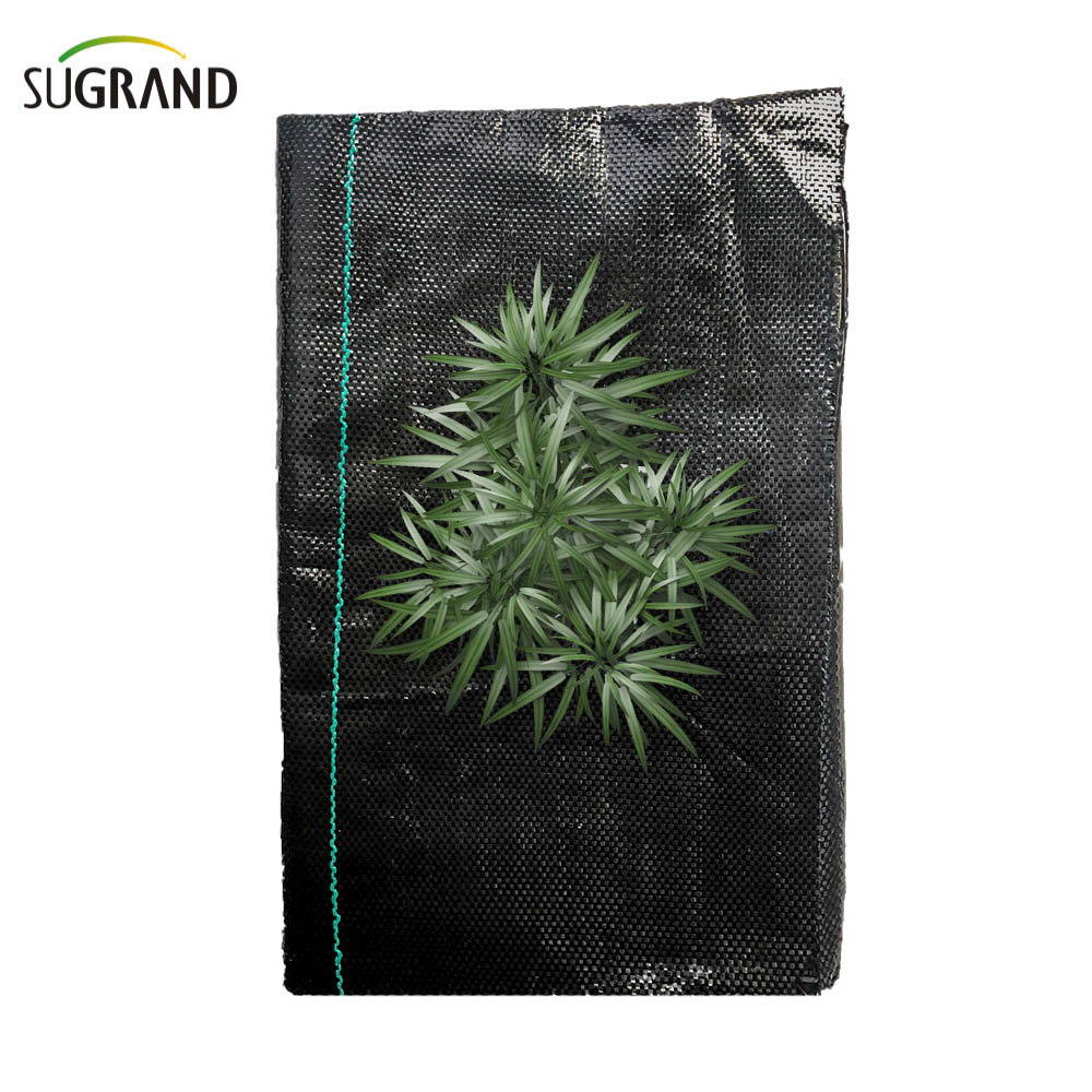 100% PP Black Ground Cover/Tabil