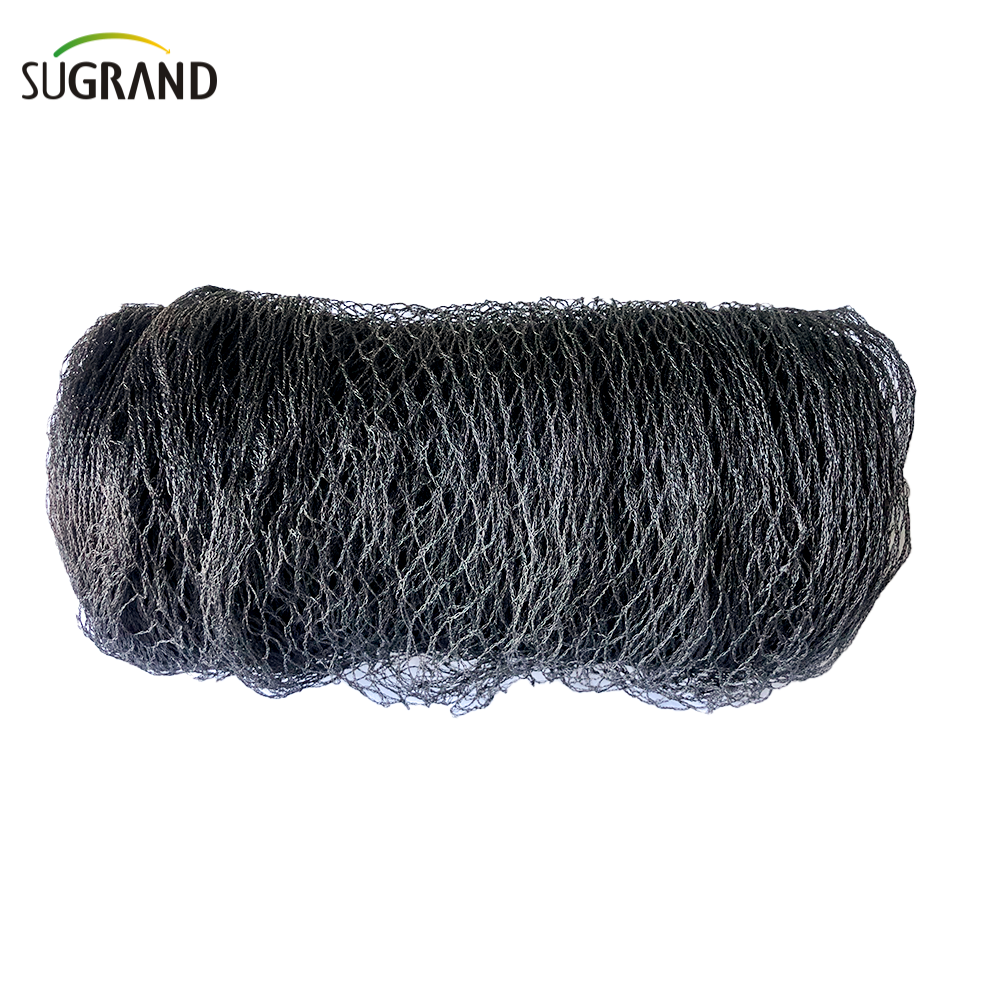 35GSM Black Anti-Bird Netting dla ogrodu