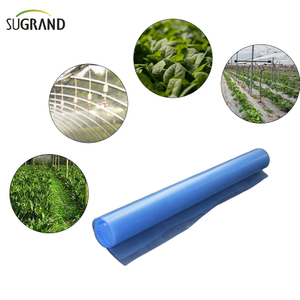 Film z szklarni 6 milionów Polietylen Blue Greenhouse Film plastikowy 
