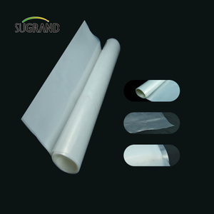 Fabrycznie przezroczyste szklarnie plastikowe 190Mic Film szklarni dla sadzonek ogrodowych