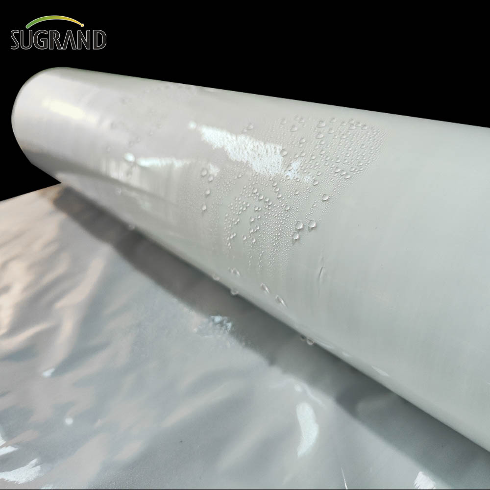 Film kiszonkowy biała / czarna kiszonka folia