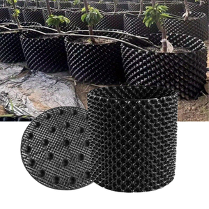 Pojemnik kontrolujący korzeń roślin