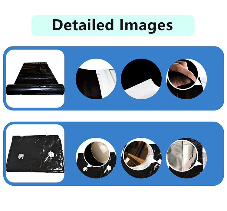 folia ści&oacute;łkowa (1)