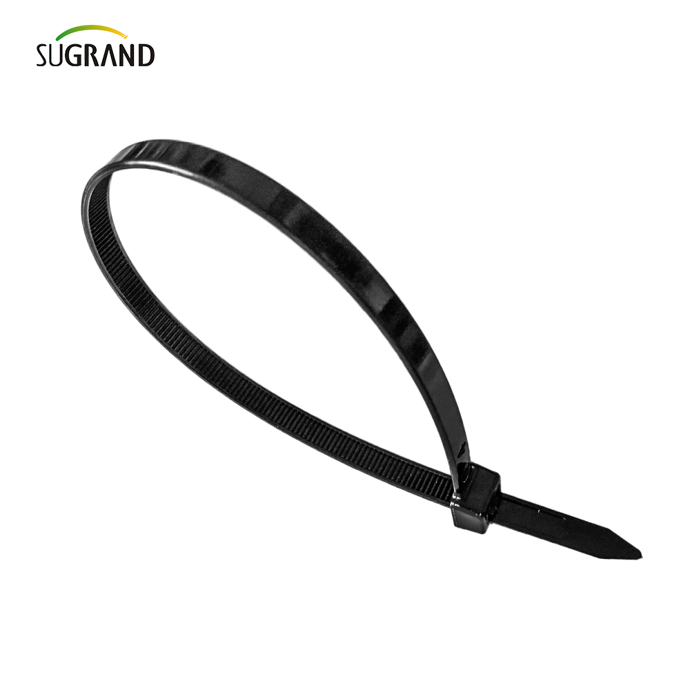 Czarny biały kolor nylonowych krawatów