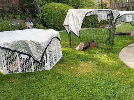 编组 14备份 2.png