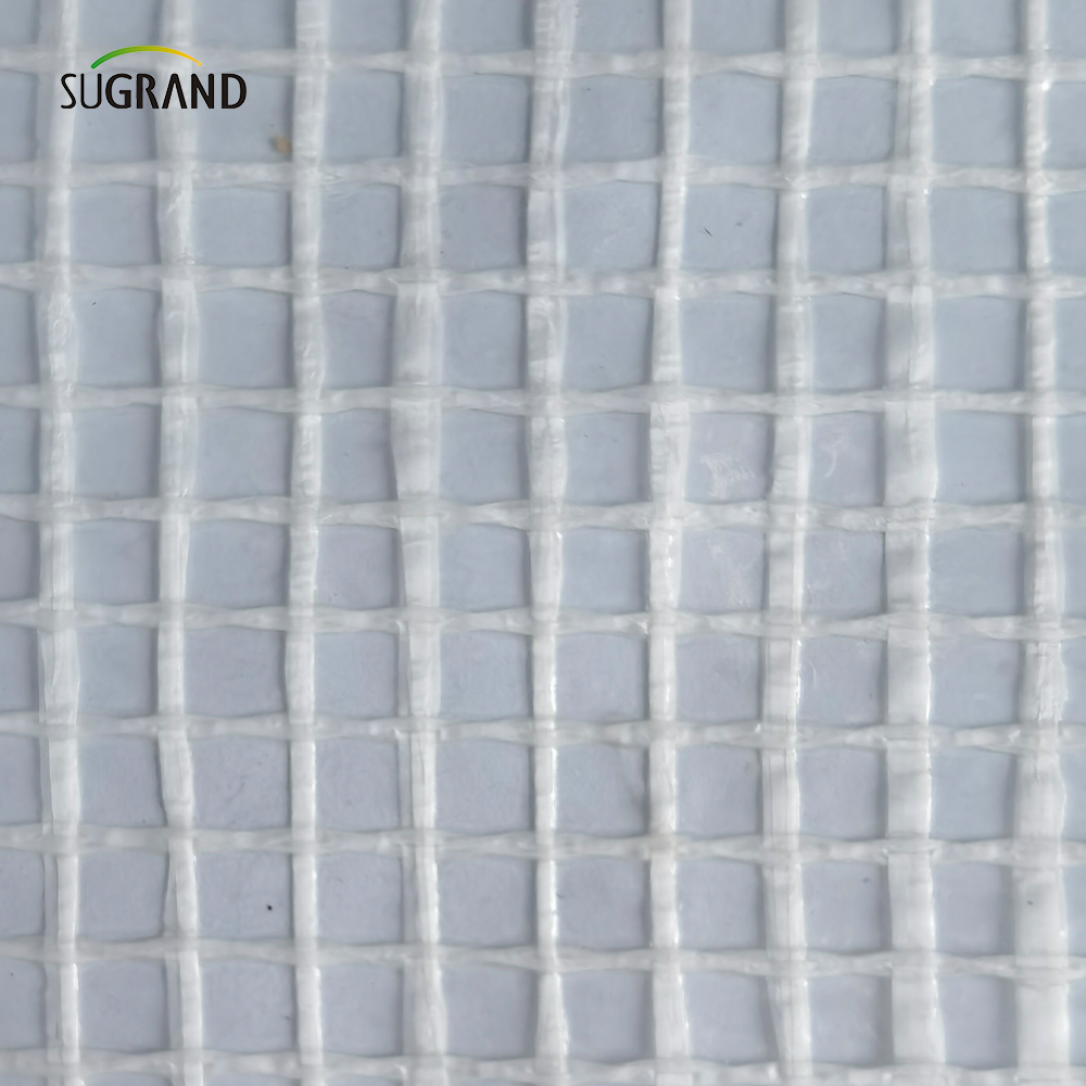 800 g opóźniającego się 3*45 m rusztowania arkusz siatki