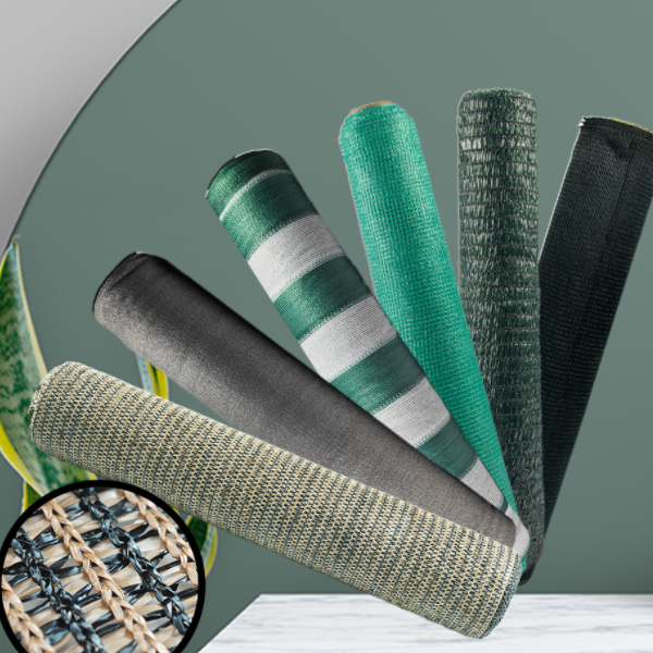 Zabierz cię, aby dowiedzieć się o cieniu