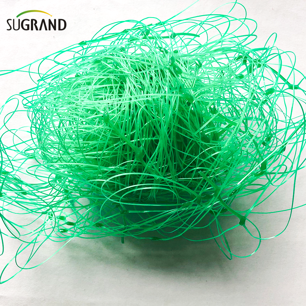 10GSM Green Plant Support Net Net/Fase Net