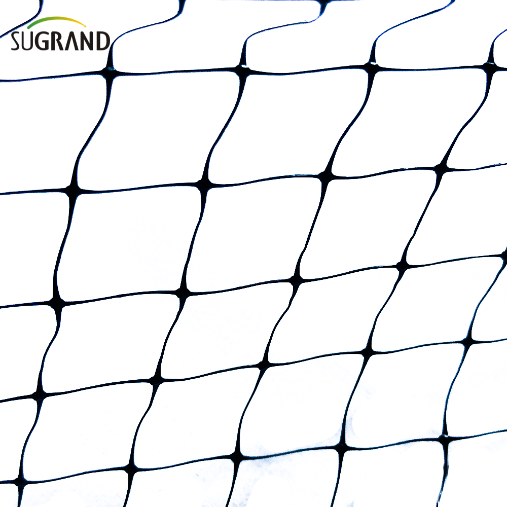 HDPE 200m wytłaczona siatka przeciw ptakom do ochrony owoców warzywnych