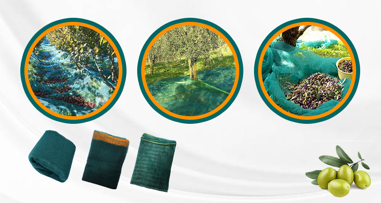 zaopatrzenie w siatkę oliwną