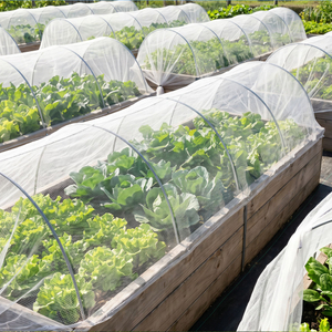 Hurtownia siatki przeciw owadom HDPE stabilizowanej promieniami UV